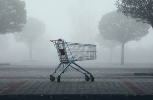 Luxury retail interior with ornate ceiling
